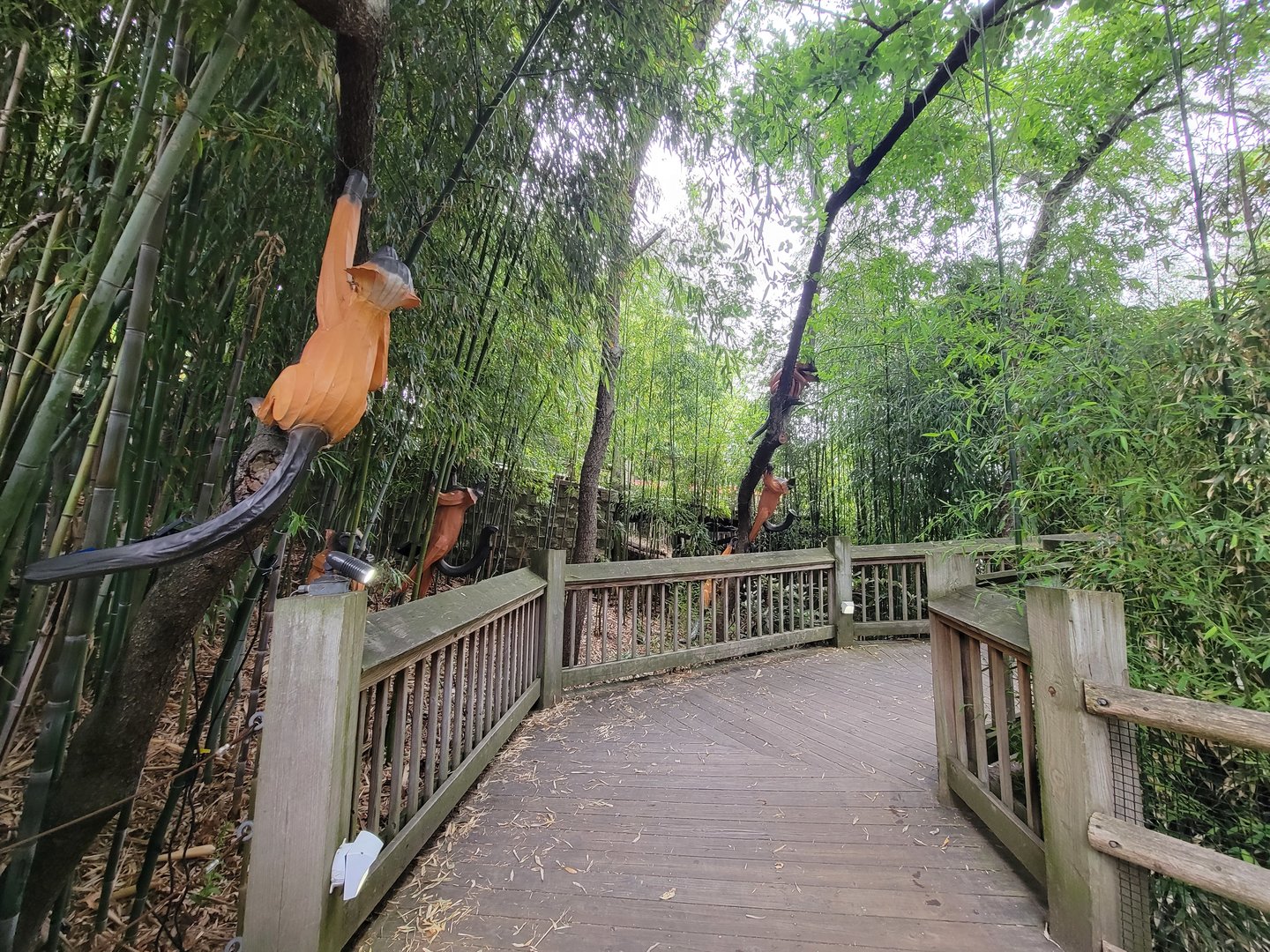 RWPZ 7/22 - Marco Polo's Adventure Trek path