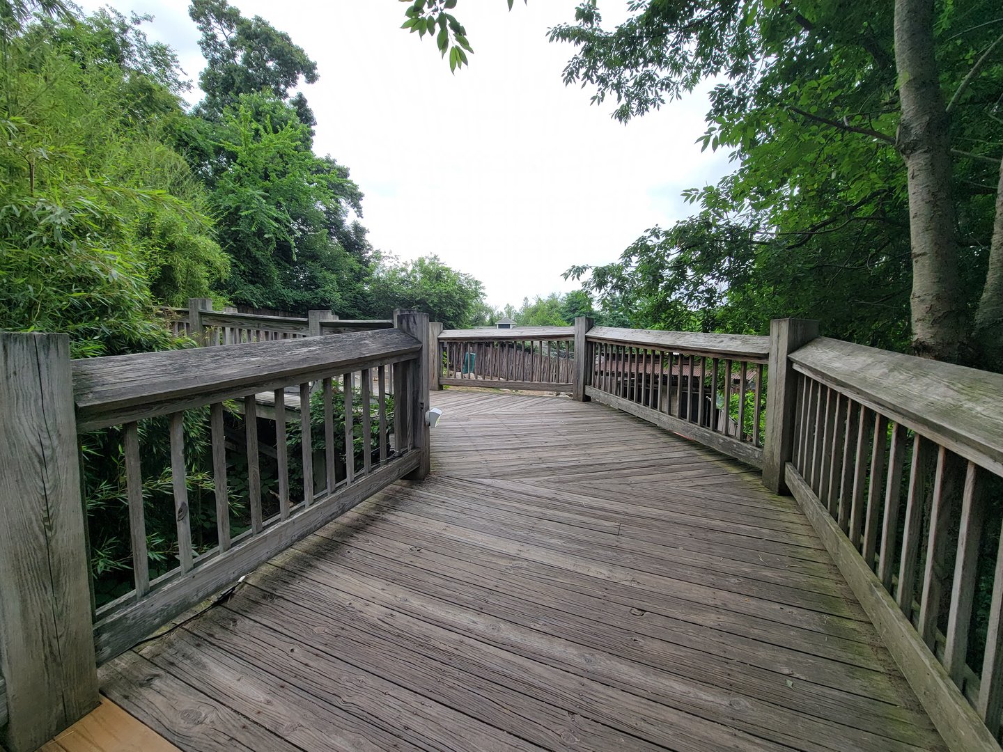 RWPZ 7/22 - Marco Polo's Adventure Trek path