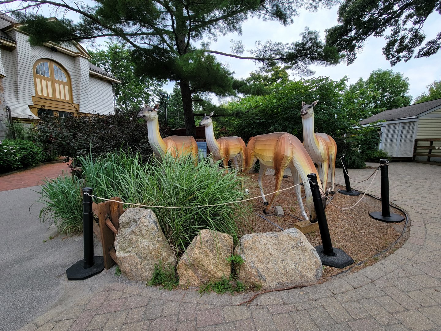 RWPZ 7/22 - more zoo lanterns