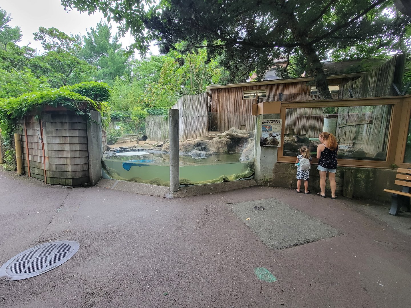 RWPZ 7/22 - North american river otters