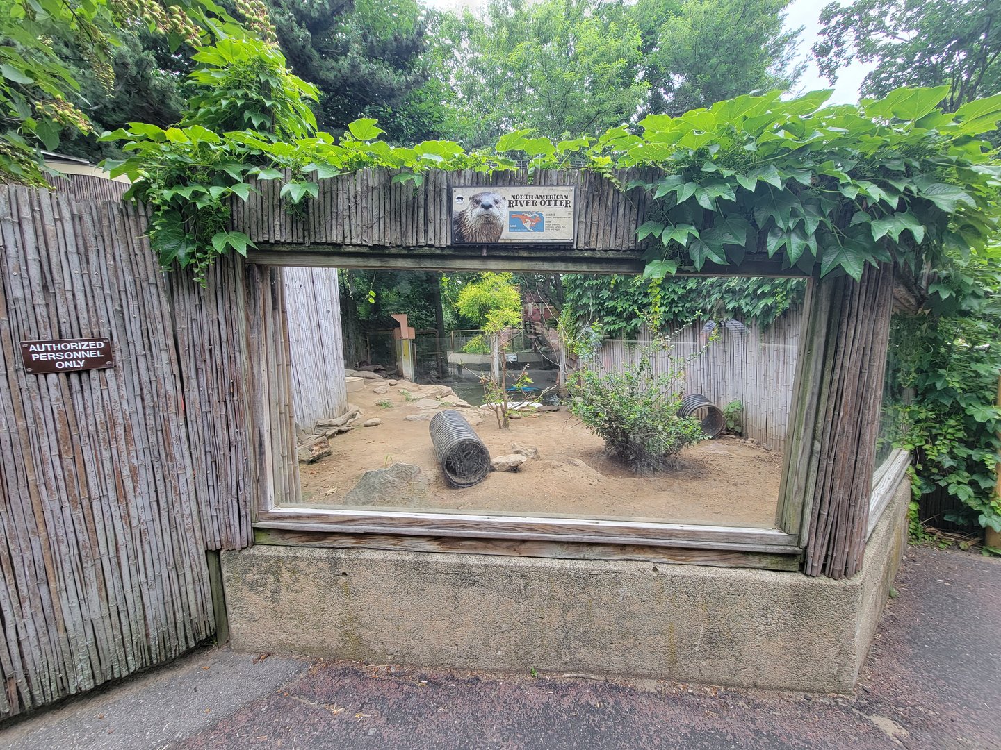 RWPZ 7/22 - North american river otters