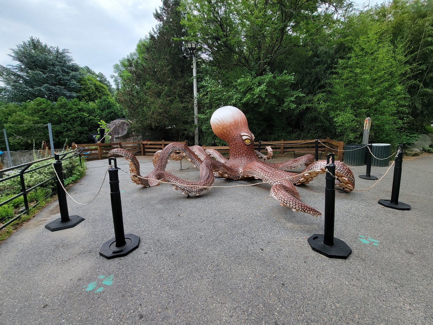 RWPZ 7/22 - Octopus lantern by seal pool