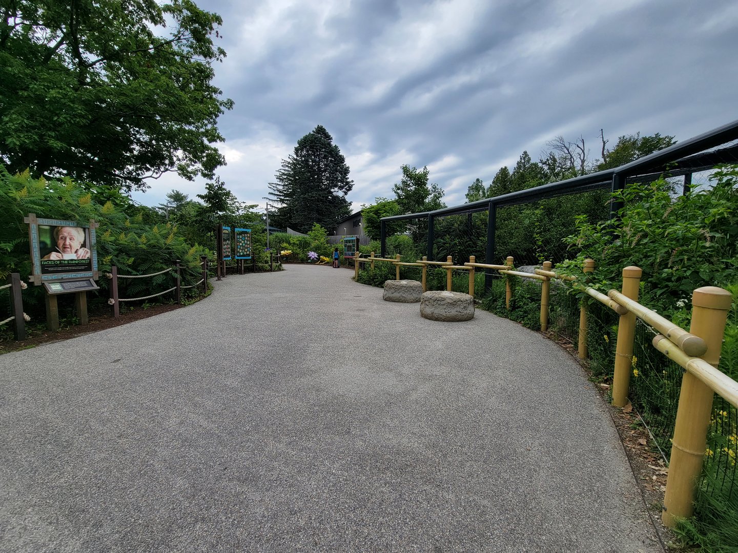 RWPZ 7/22 - Outside Faces of the Rainforest