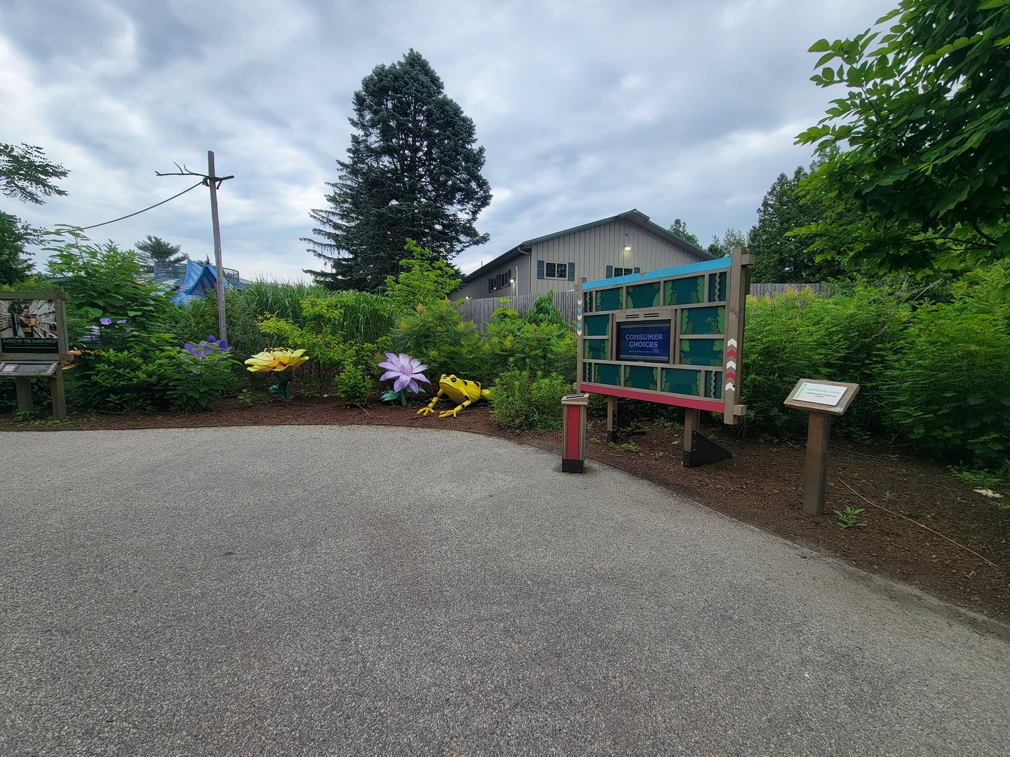 RWPZ 7/22 - Outside Faces of the Rainforest