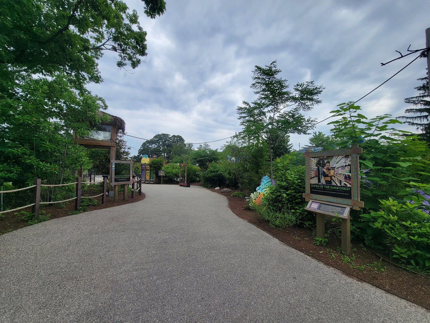 RWPZ 7/22 - Outside Faces of the Rainforest