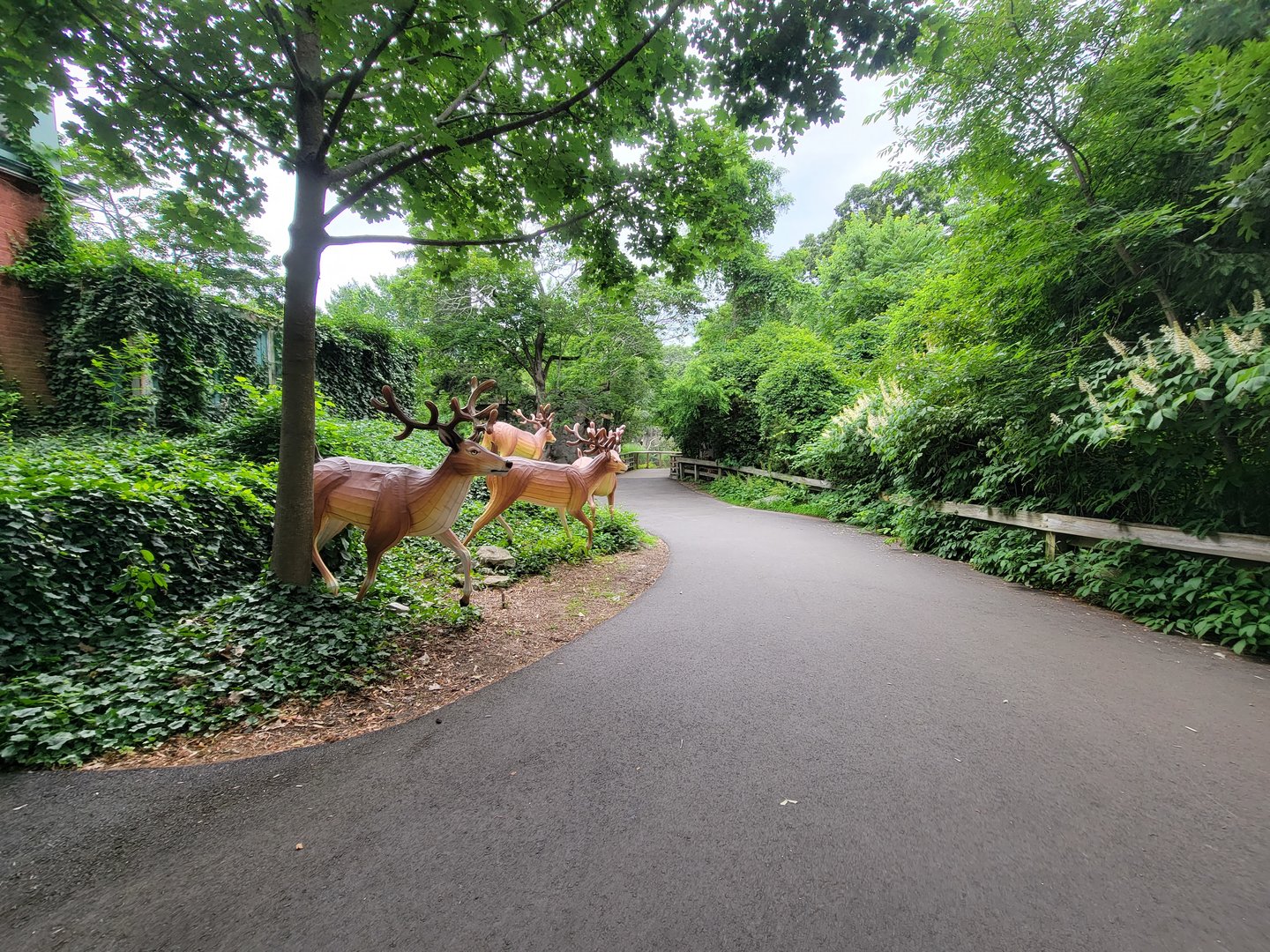 RWPZ 7/22 - Path between North America and Adventure Trek