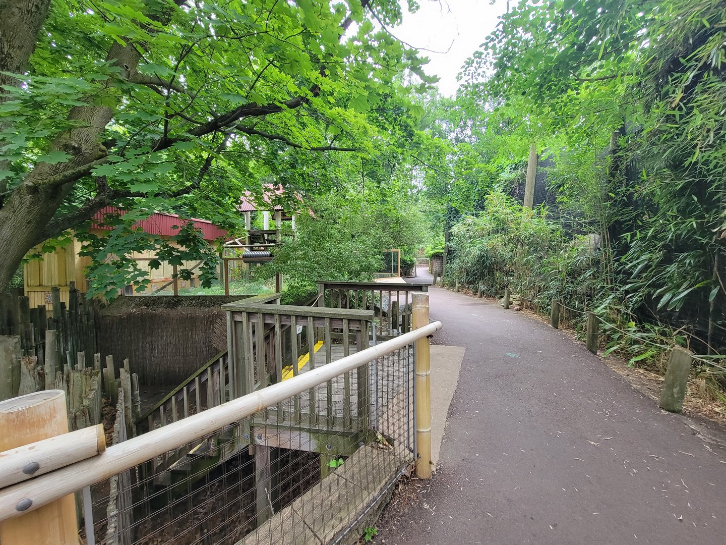 RWPZ 7/22 - Path in Australasia