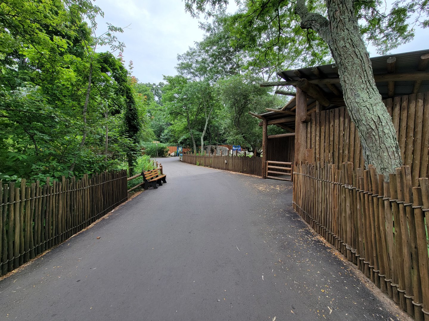 RWPZ 7/22 - Path past giraffes