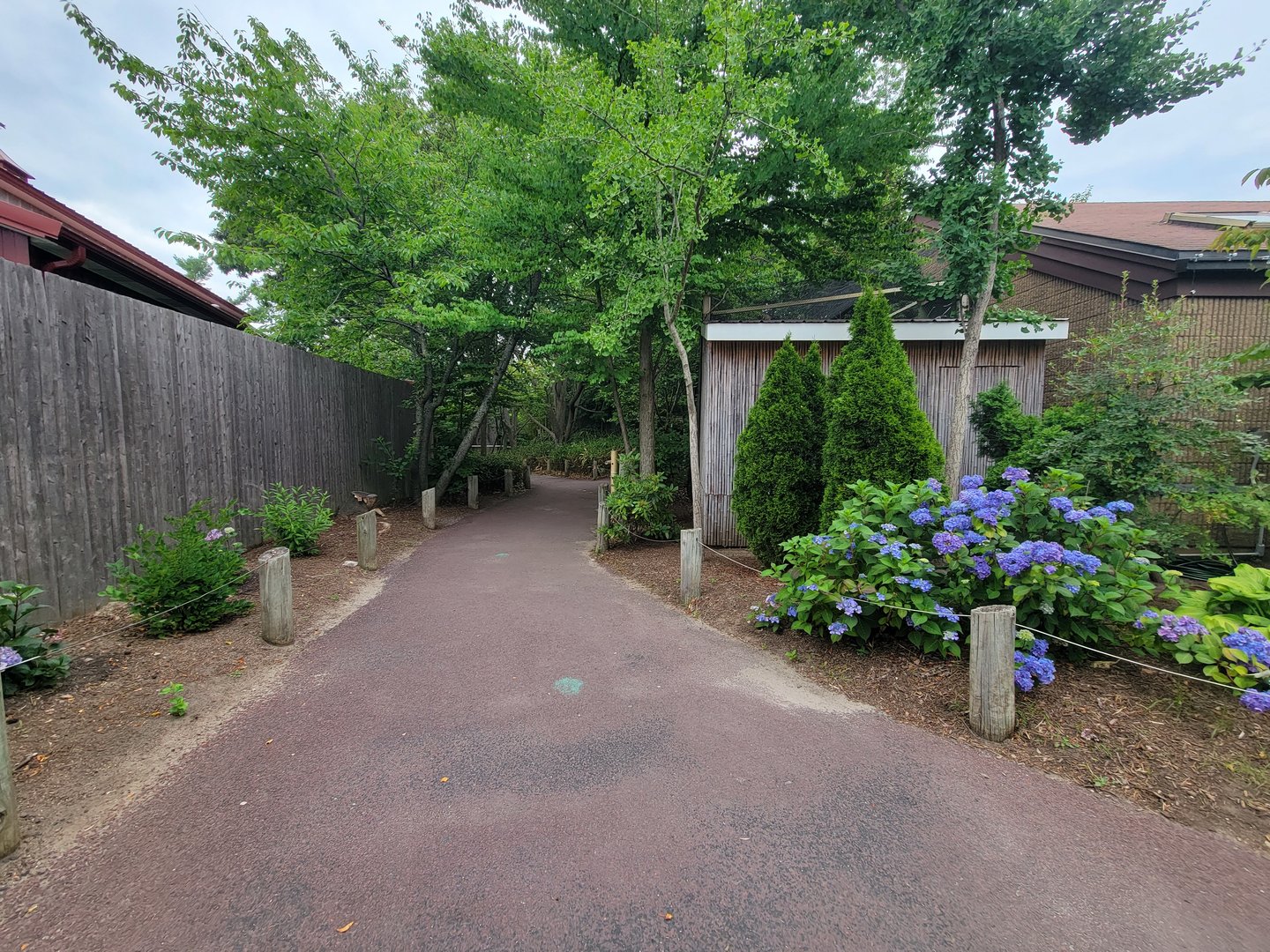 RWPZ 7/22 - Path to Australasia, behind World of Adaptations building