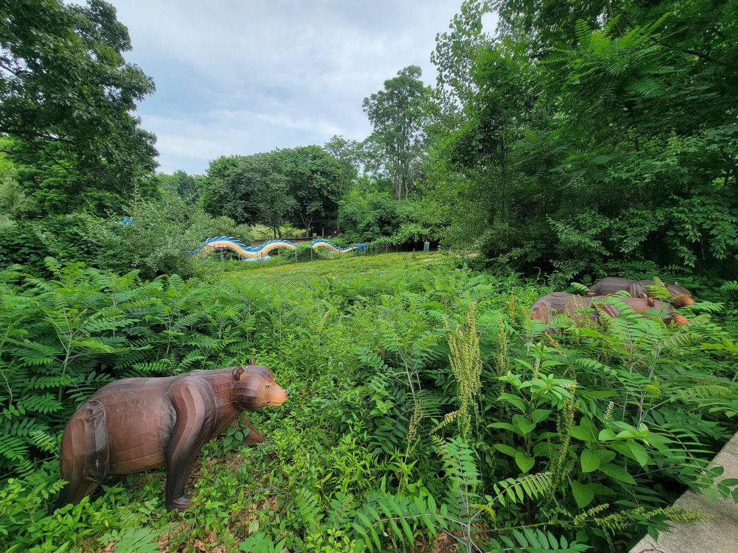 RWPZ 7/22 - Pronghorn & wild turkey
