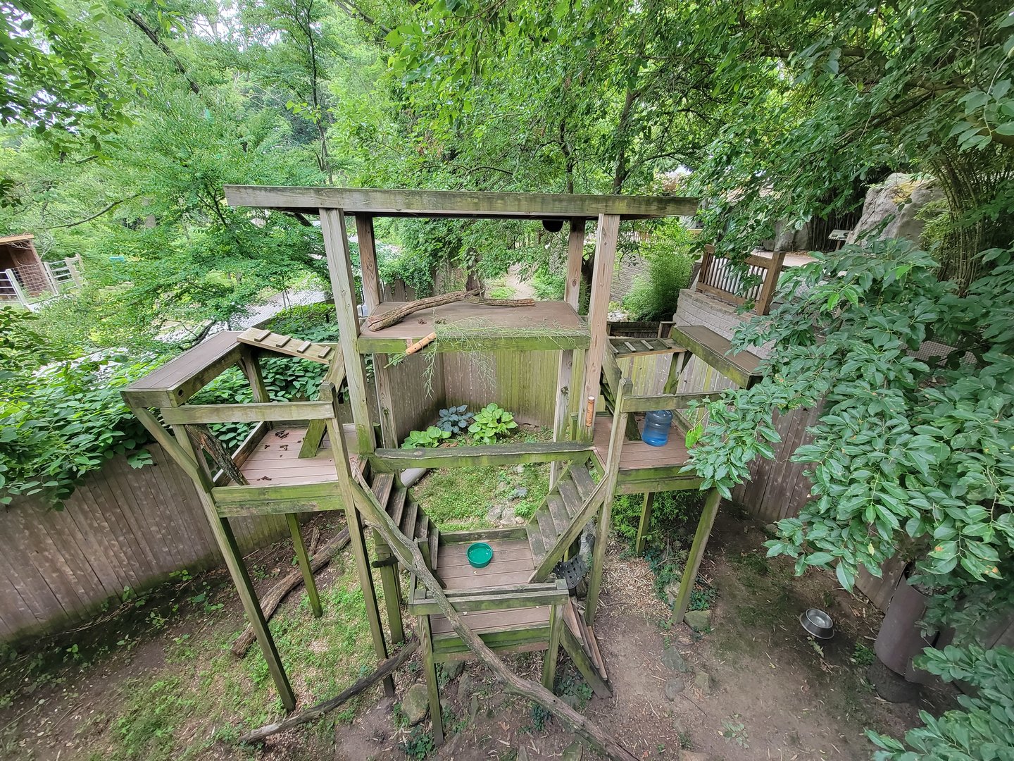 RWPZ 7/22 - Red Panda