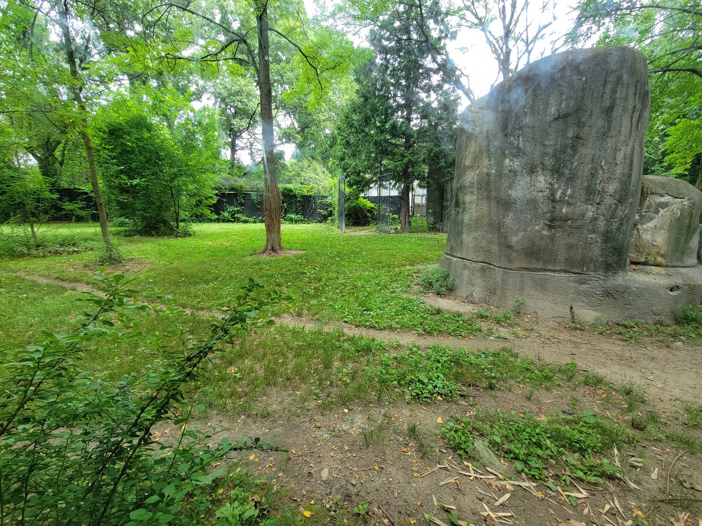 RWPZ 7/22 - Second cheetah viewing window