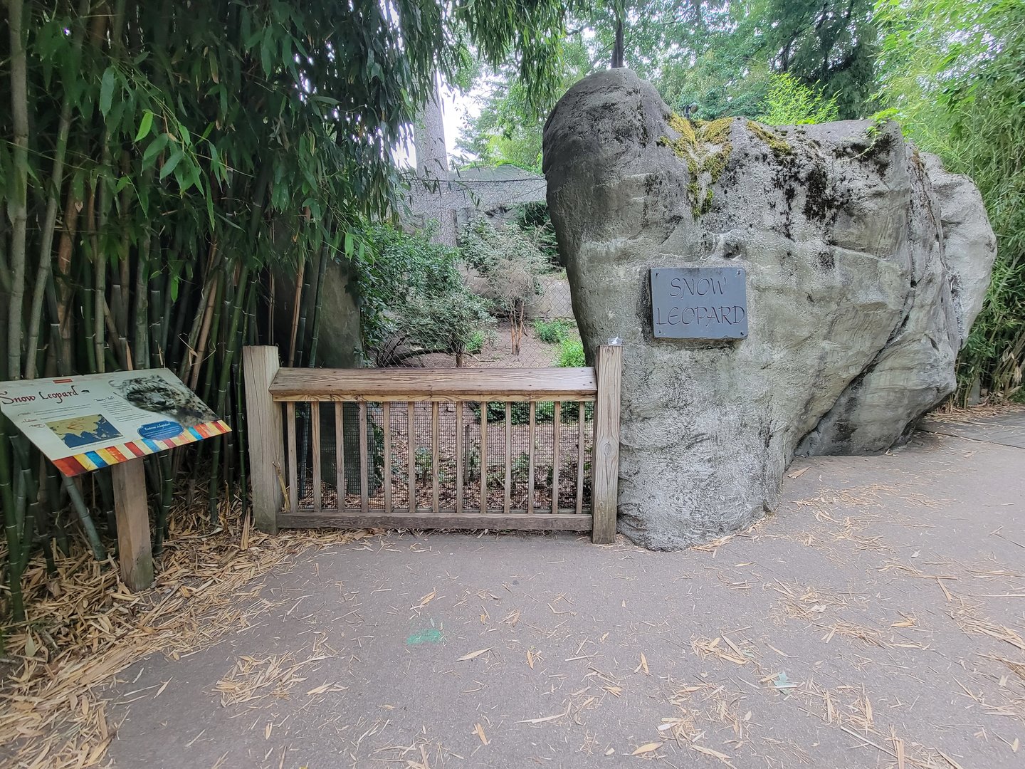 RWPZ 7/22 - Snow leopard