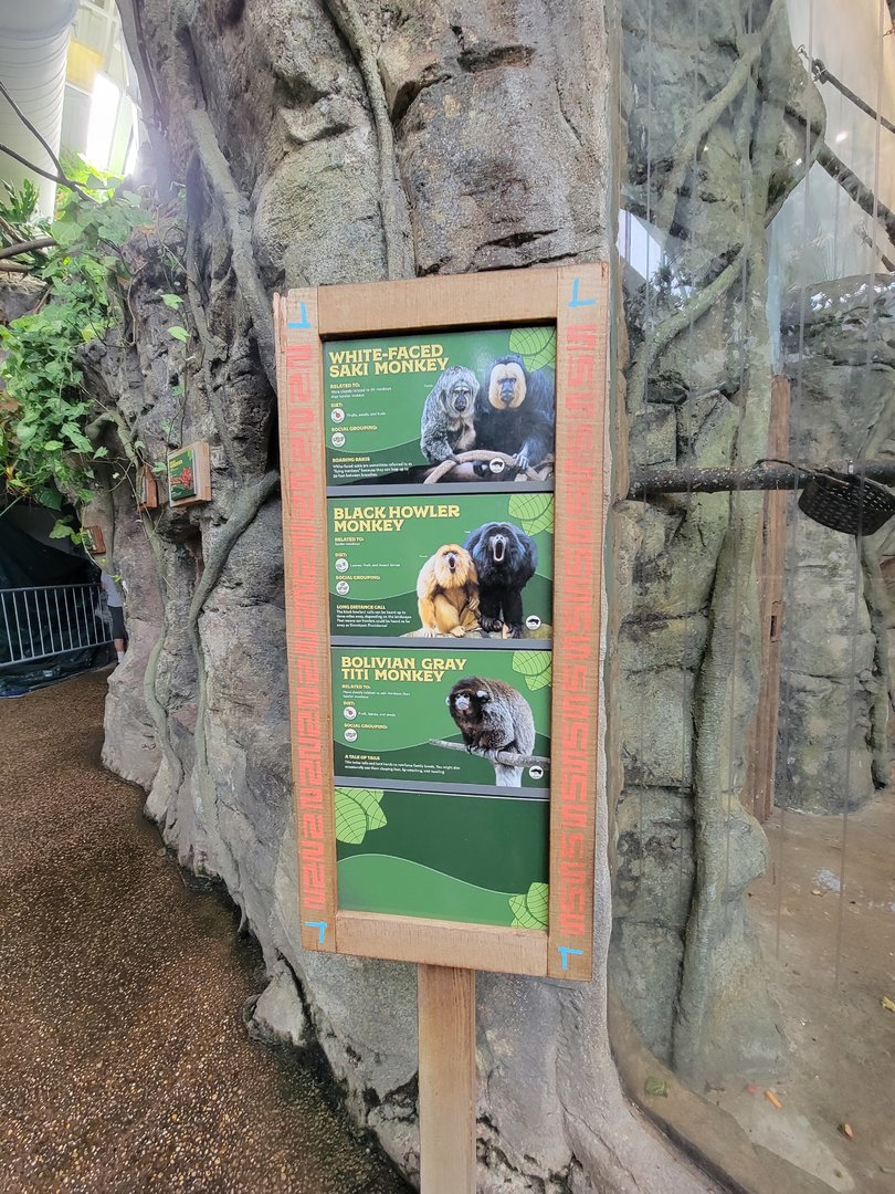 RWPZ 7/22 - Species in rotational primate exhibit