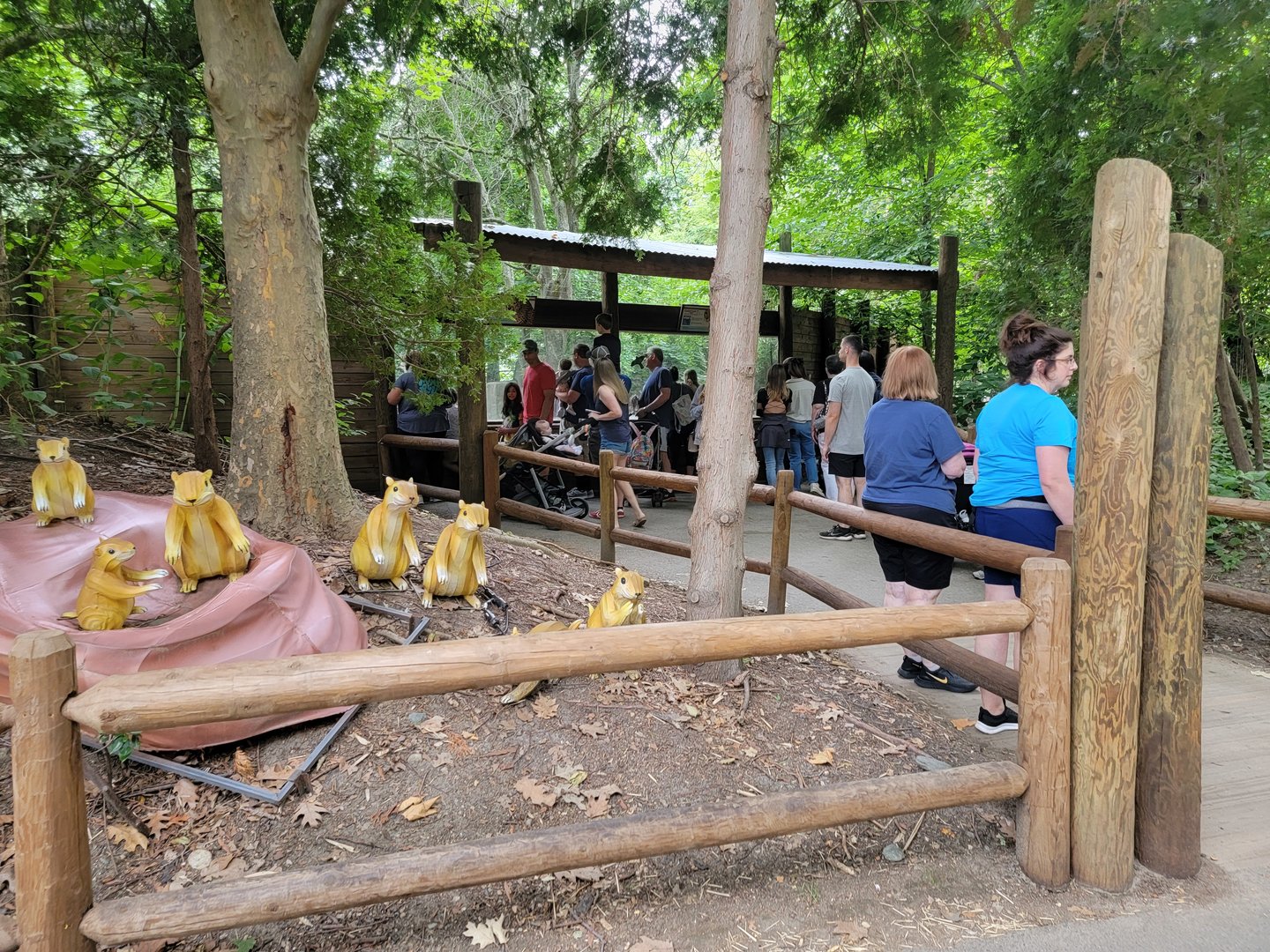 RWPZ 7/22 - The difference a few hours makes at the cheetah window!