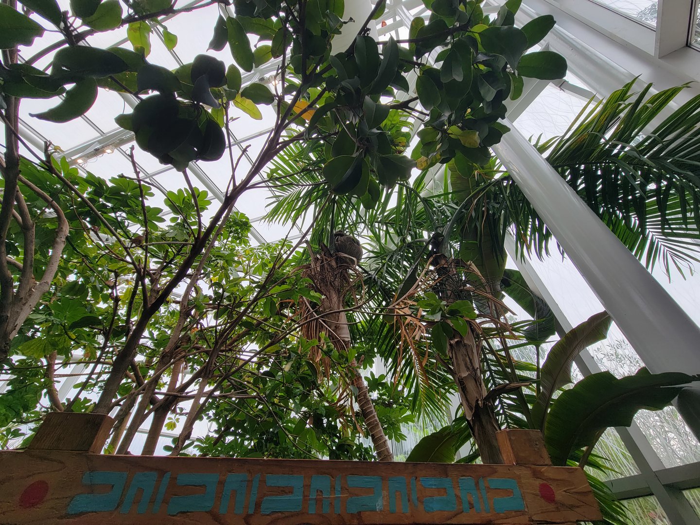 RWPZ 7/22 - The sloth, sighted