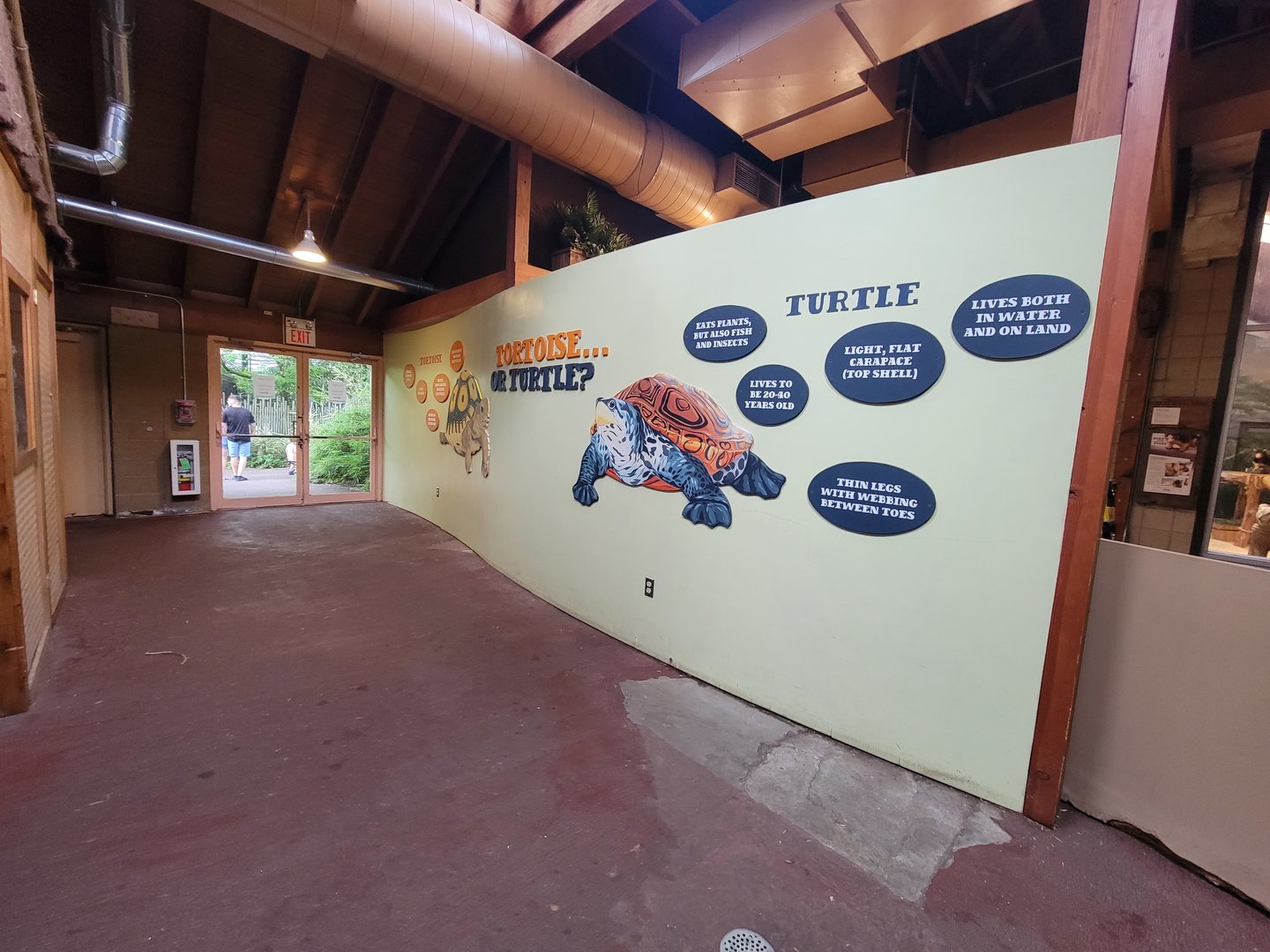 RWPZ 7/22 - Tortoise or turtle?