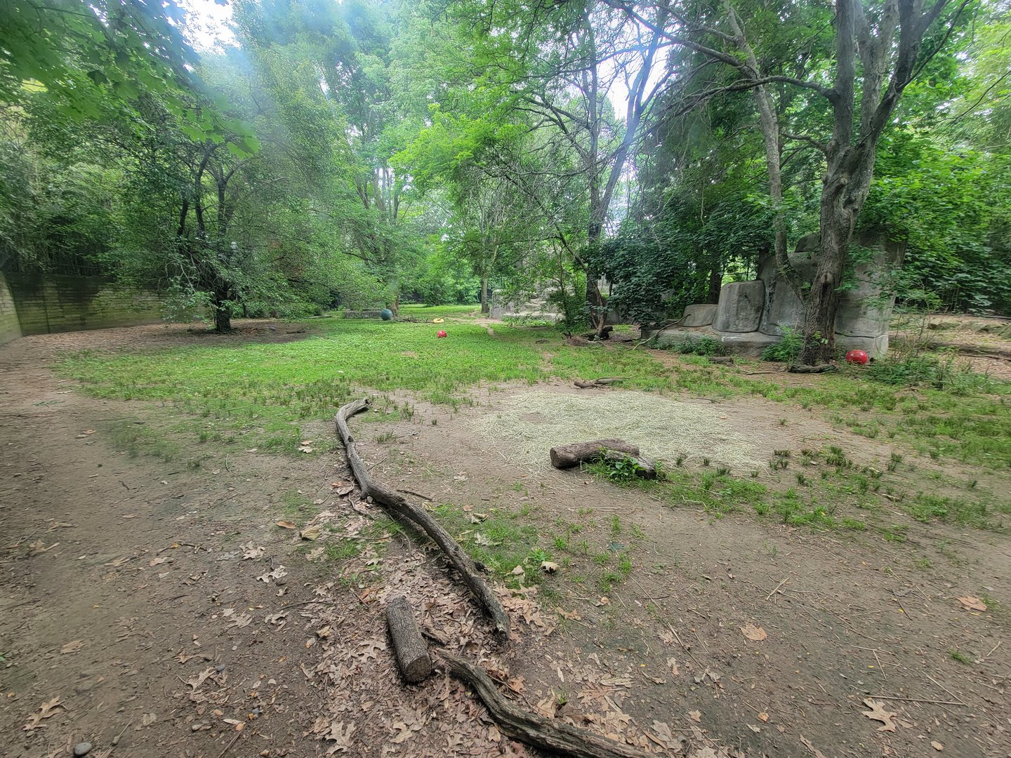 RWPZ 7/22 - View from first cheetah window