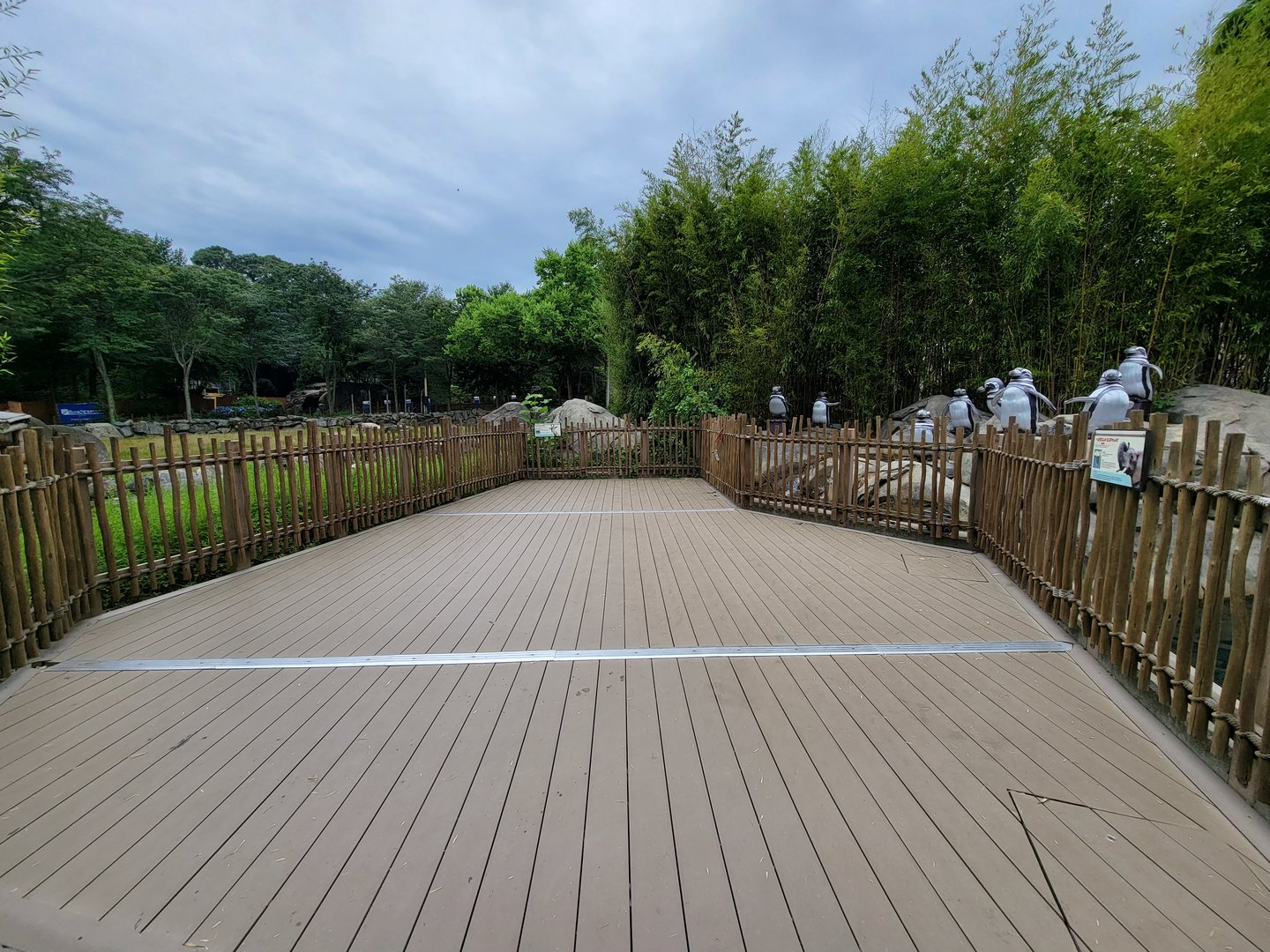 RWPZ 7/22 - Viewing platform for elephants and giraffes