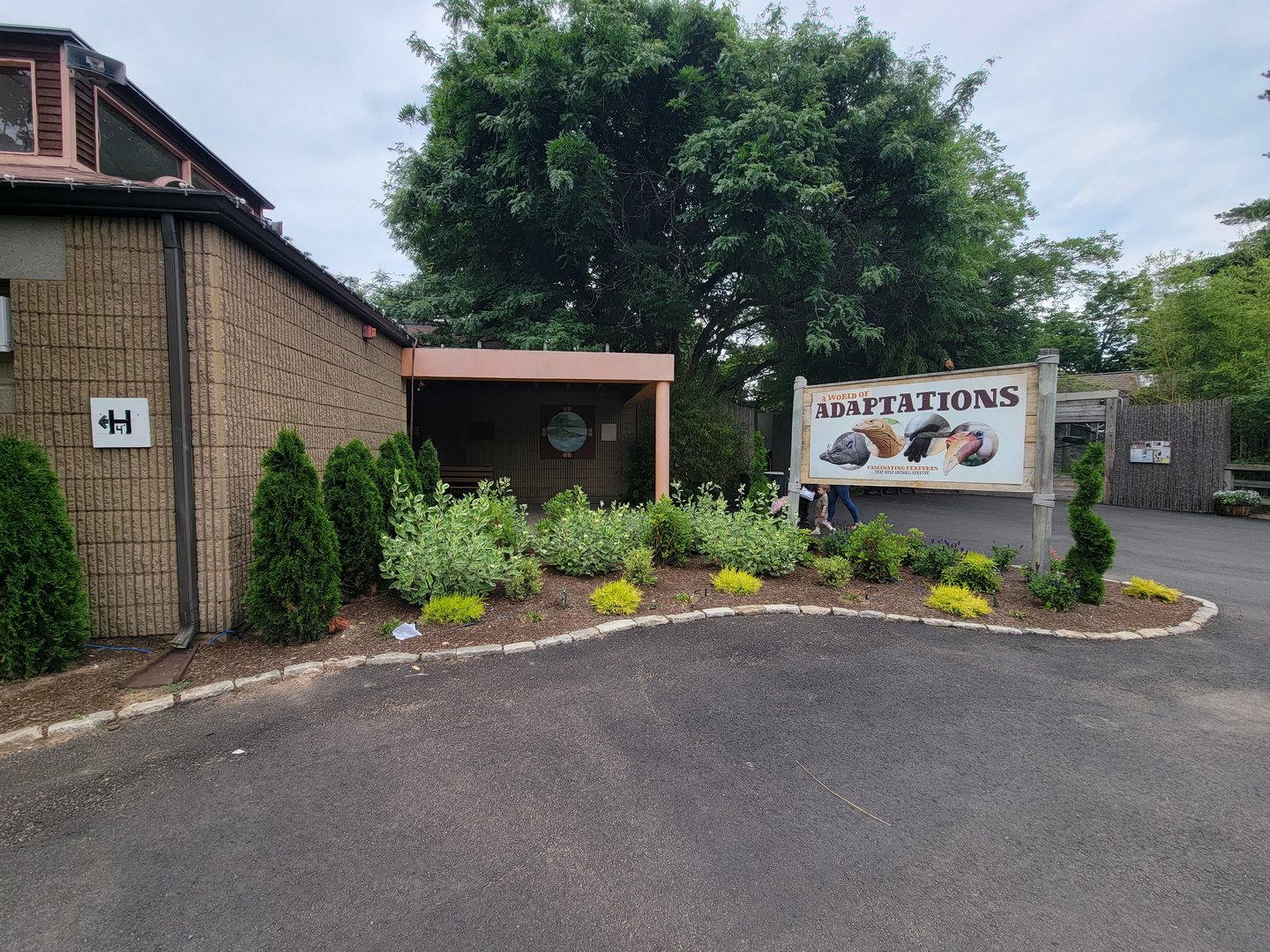 RWPZ 7/22 - World of Adaptations