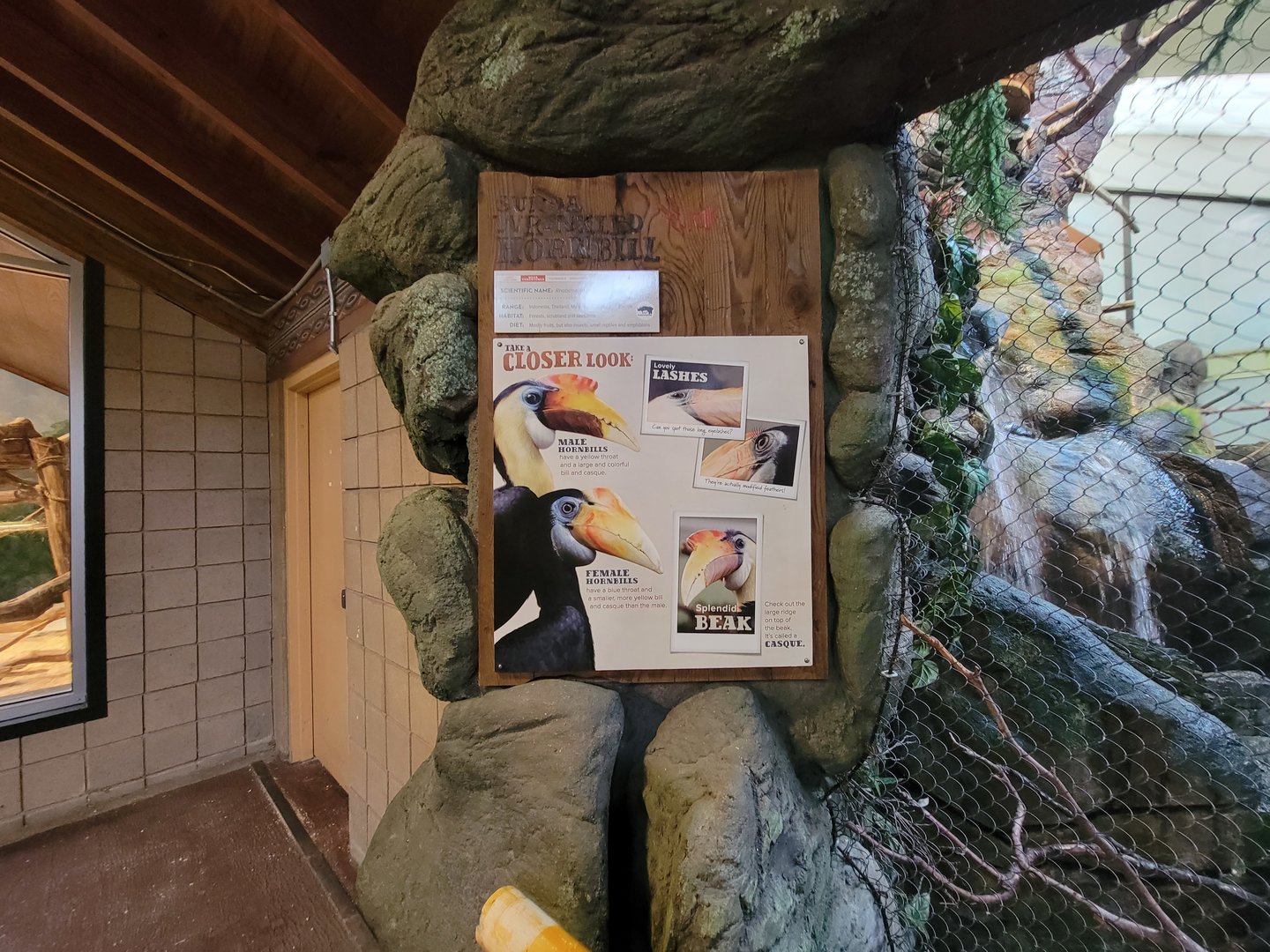 RWPZ 7/22 - Wrinkled hornbill signage