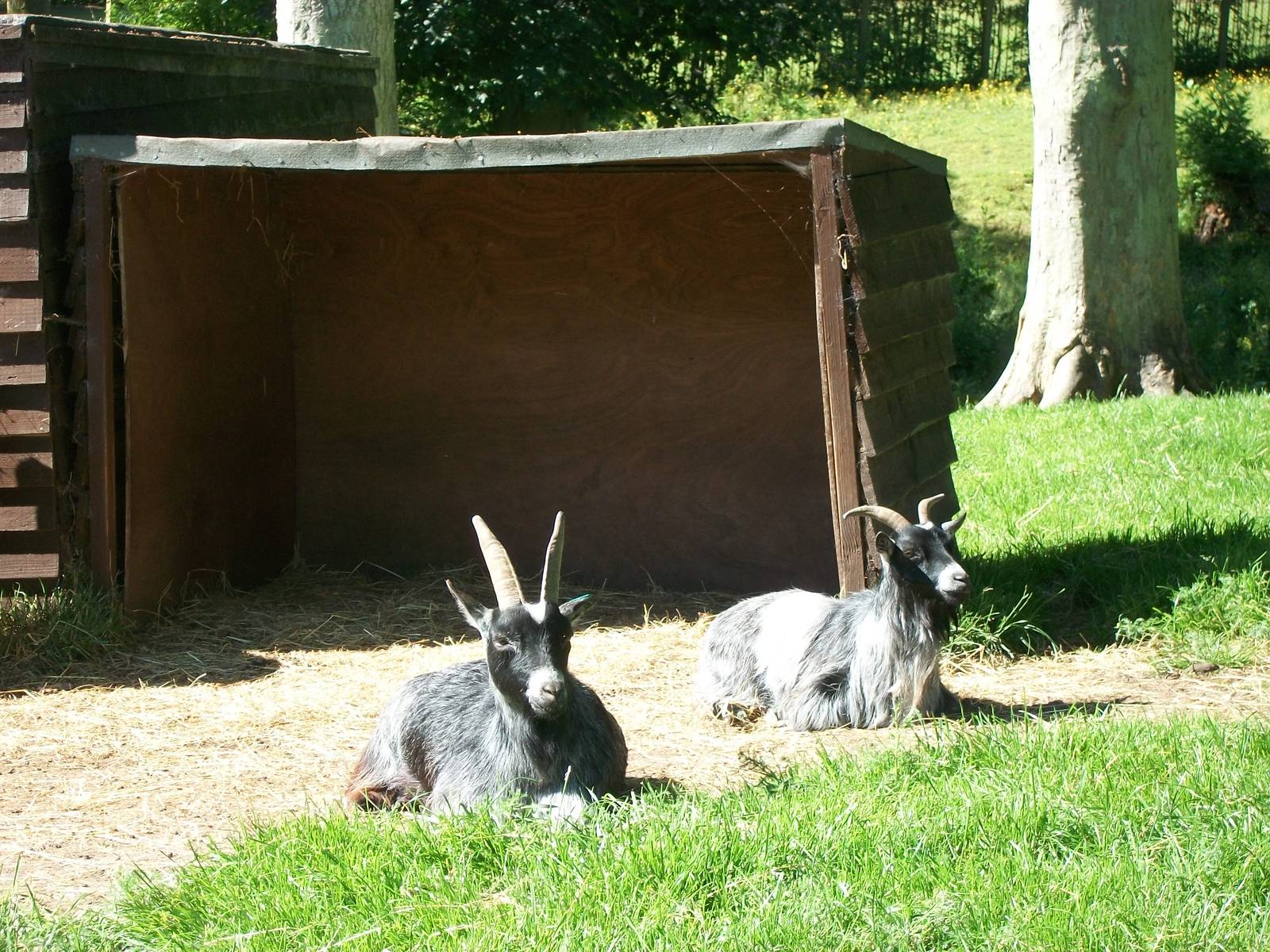 Ryal and Angel enjoying another glorious day at sunny Sewerby, 21st June 20