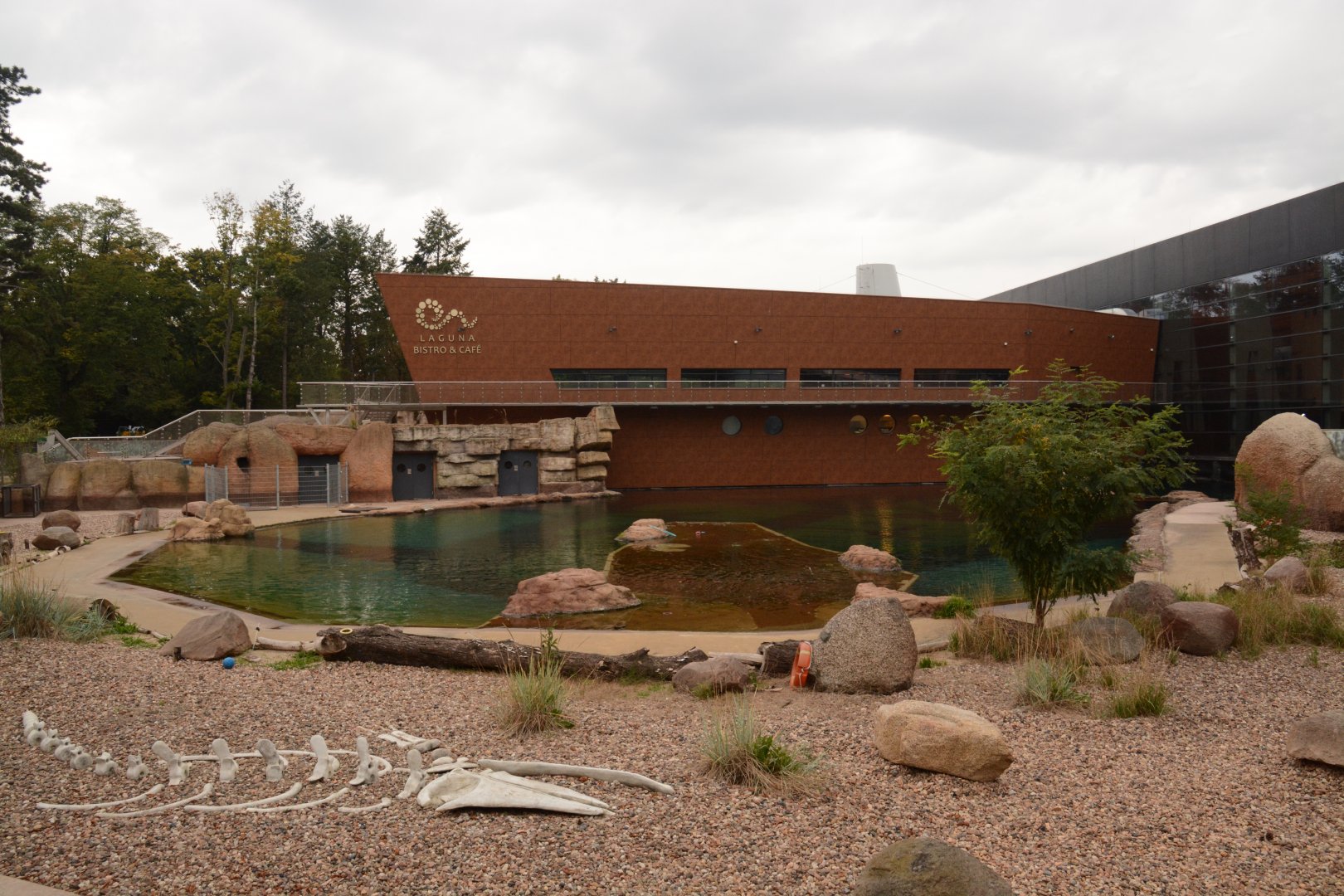 S-African Fur Seal enclosure