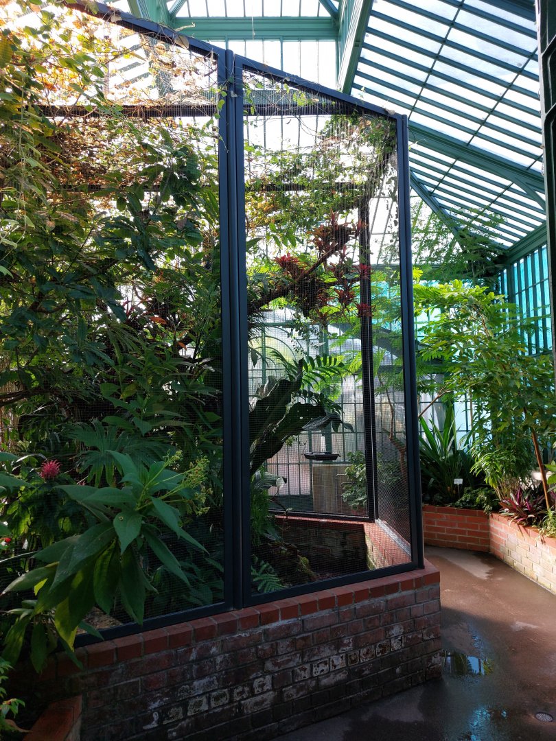 S-American aviary in greenhouse