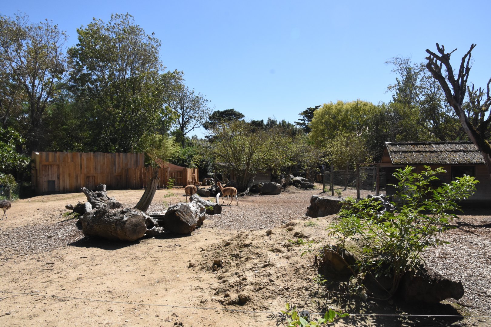 S-American enclosure