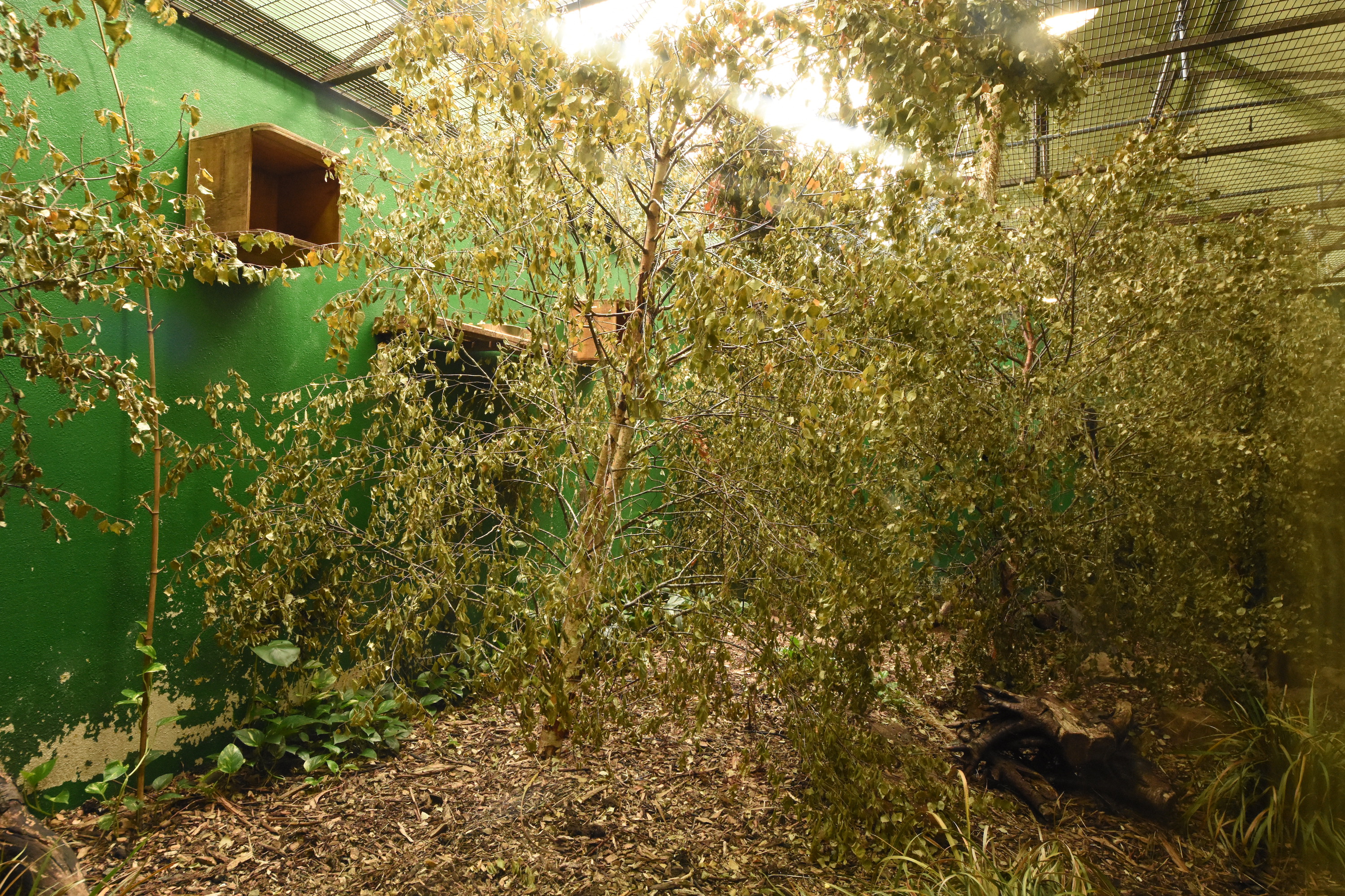 S-American house - interior