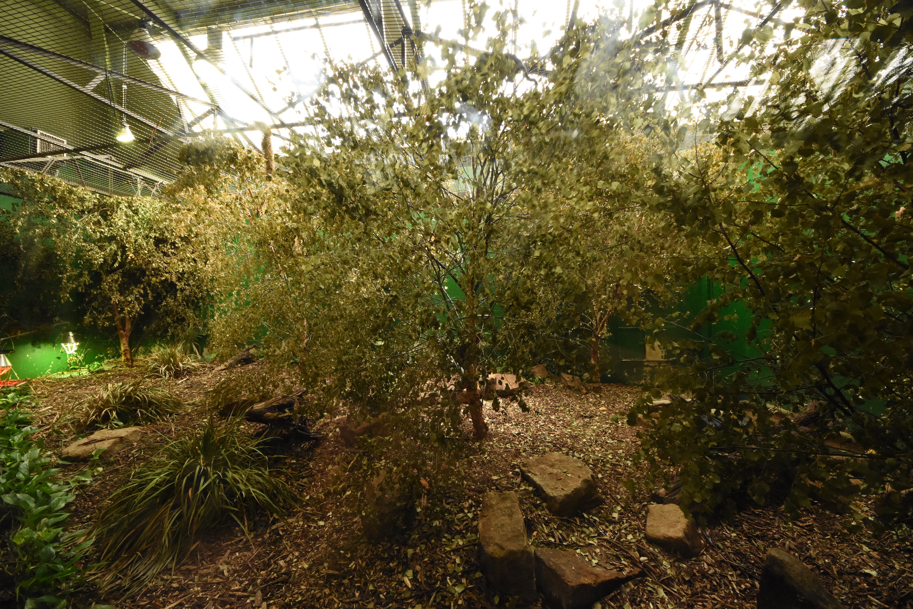 S-American house - interior