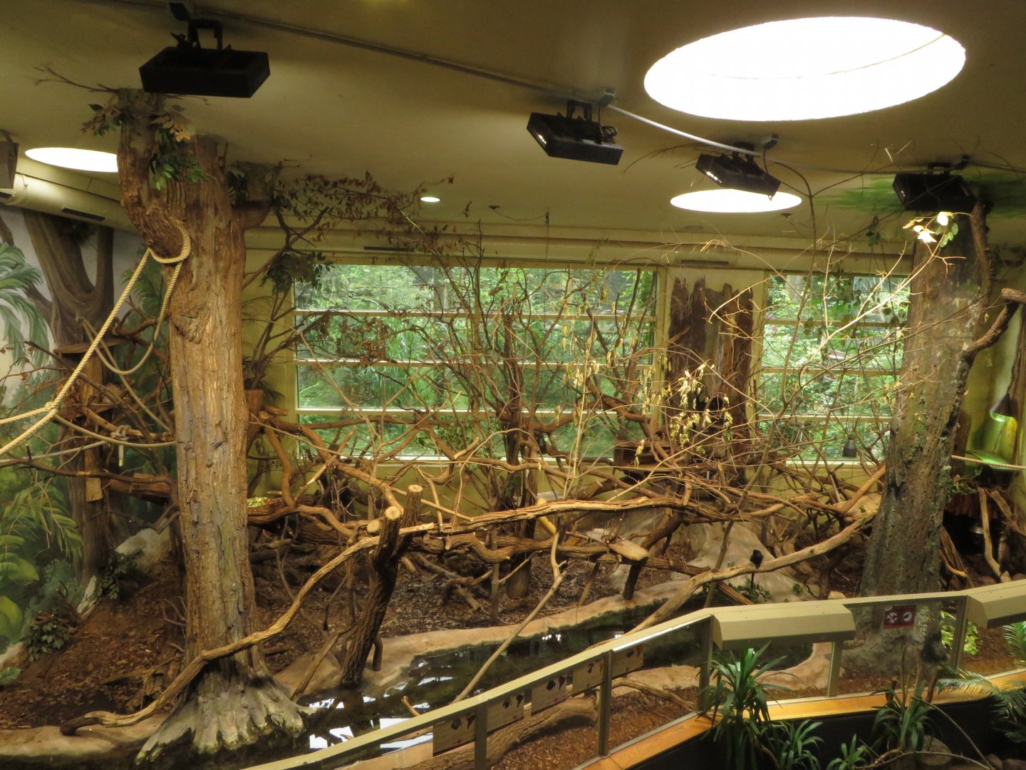 S-American (Humboldt) house