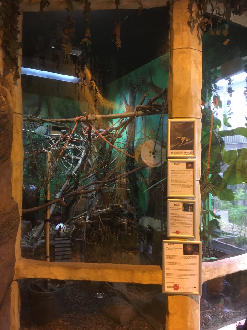 S American mixed exhibit