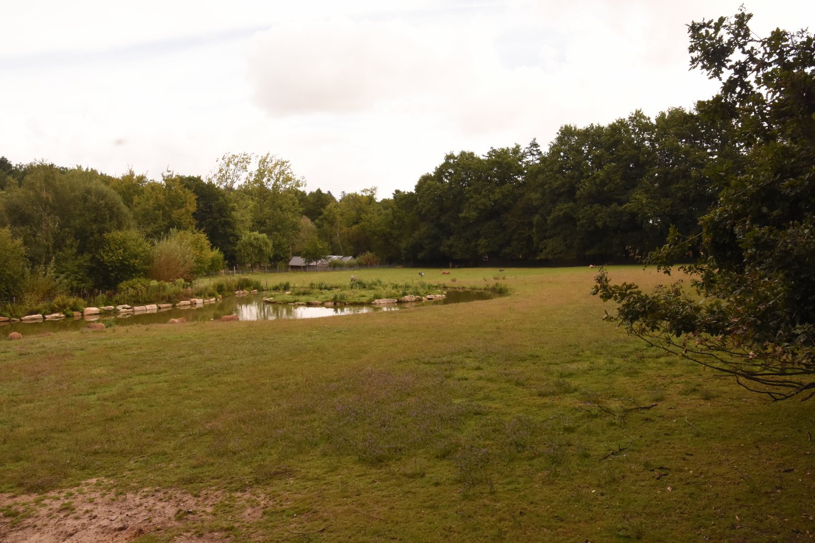 S-American mixed exhibit