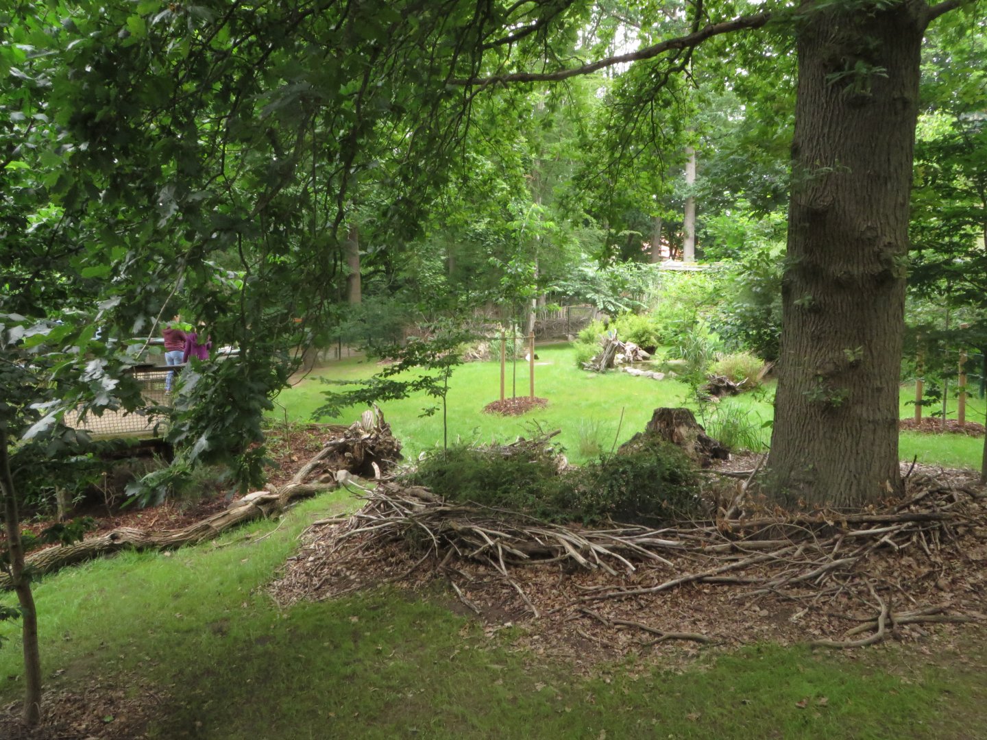 S-American mixed species exhibit