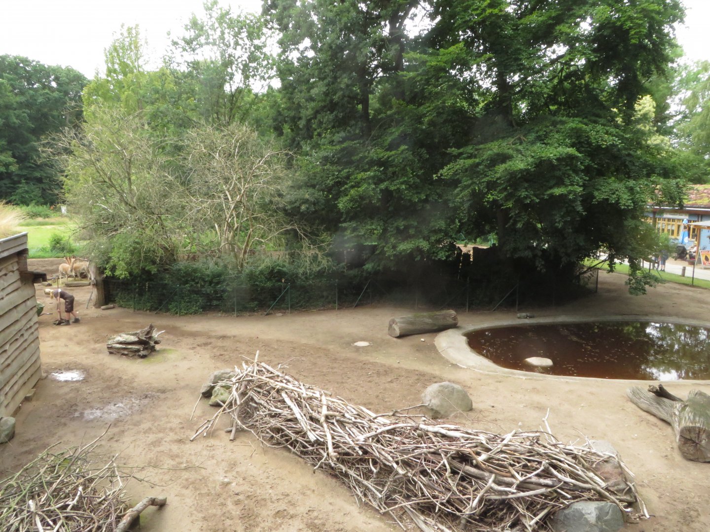 S-American mixed species exhibit