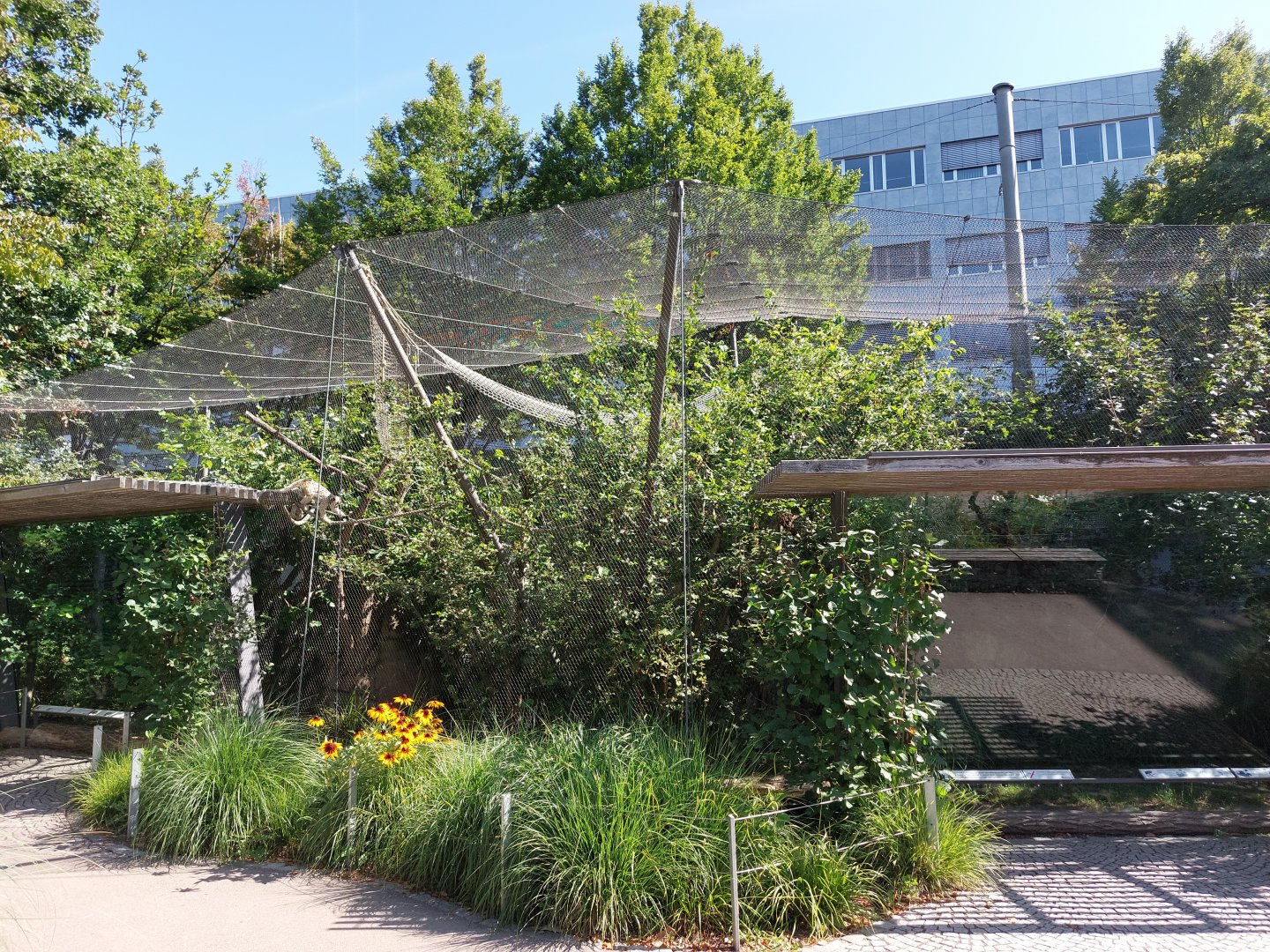 S-American monkey enclosures