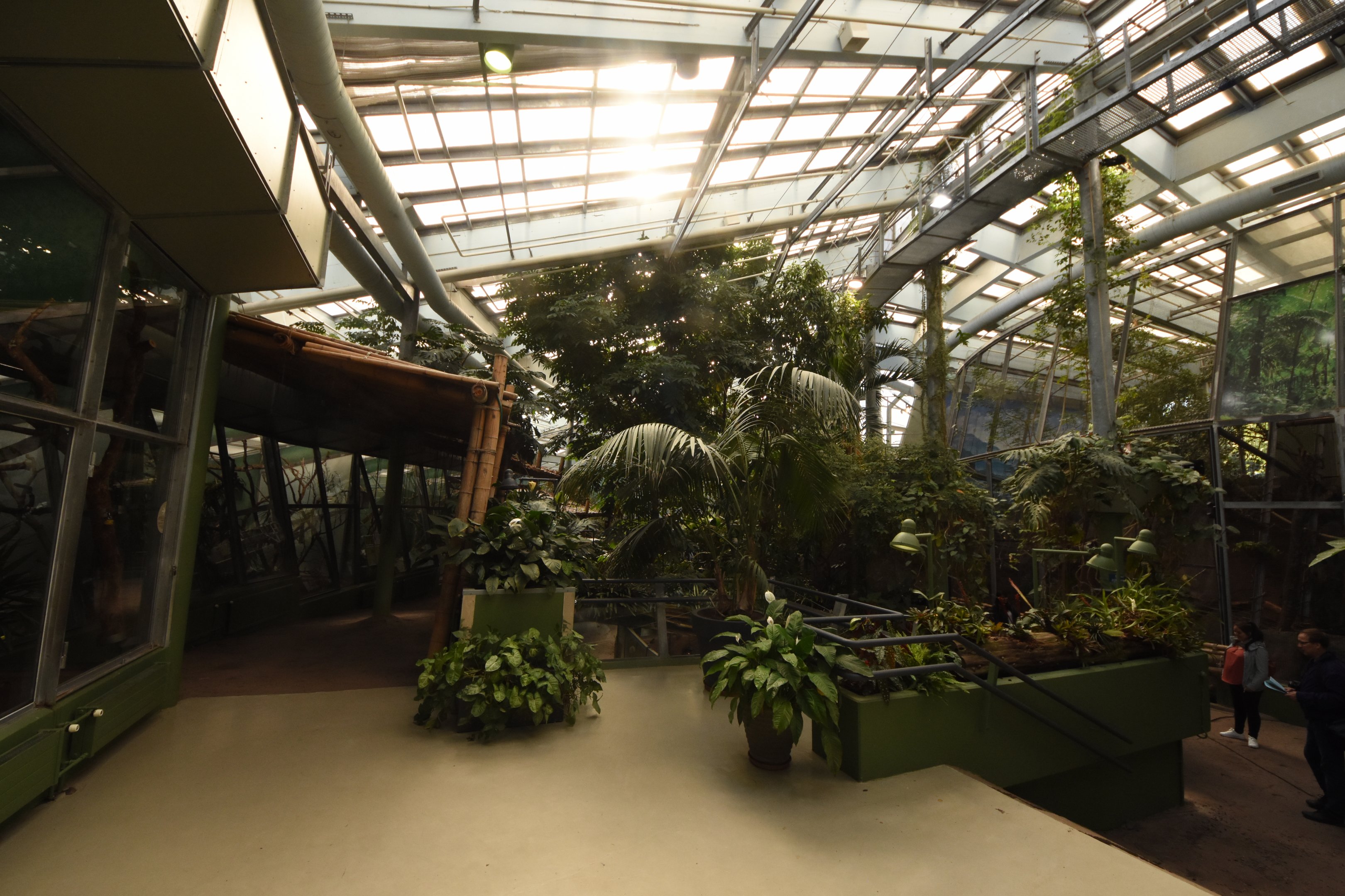 S-American tropical house