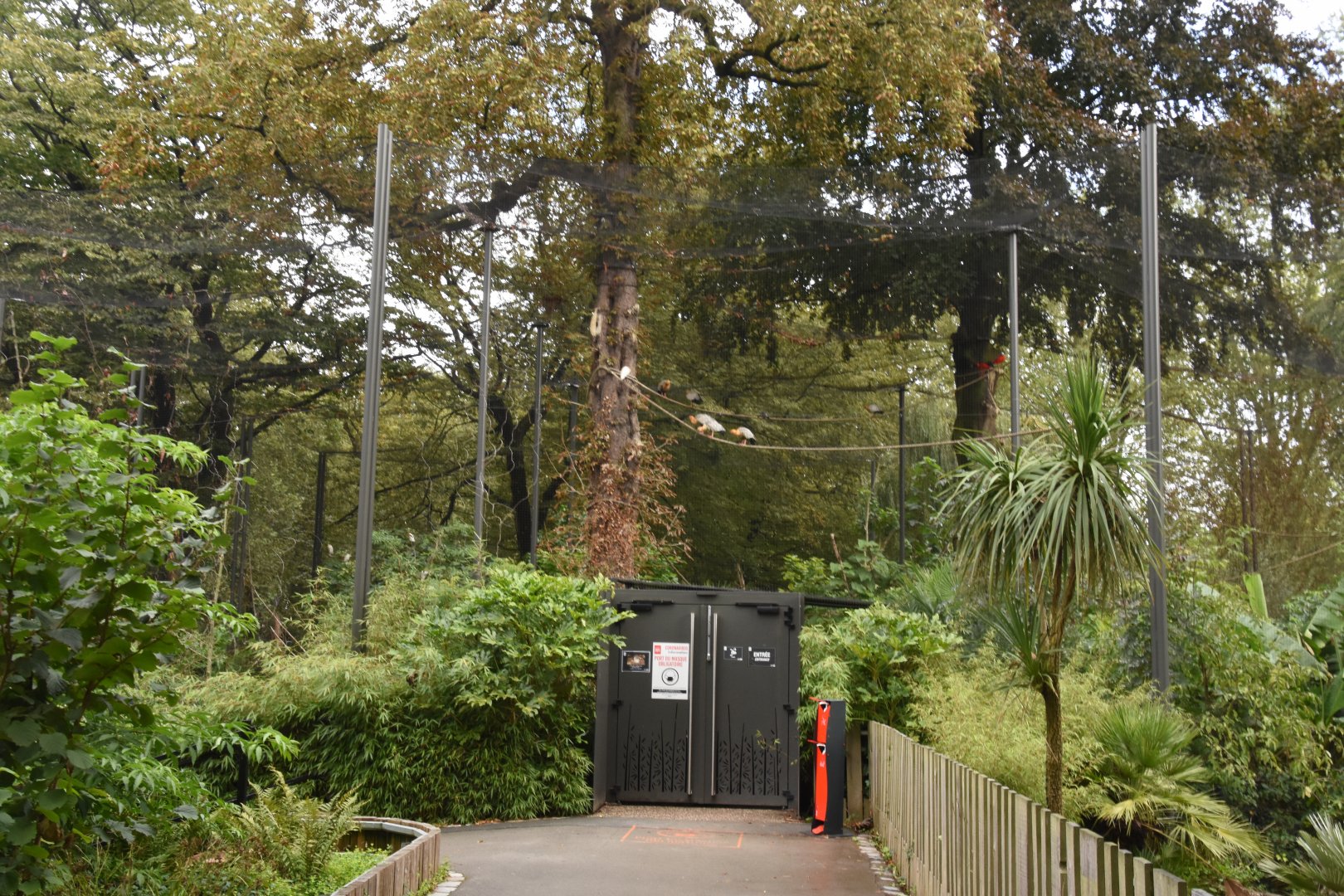 S-American walkthrough aviary