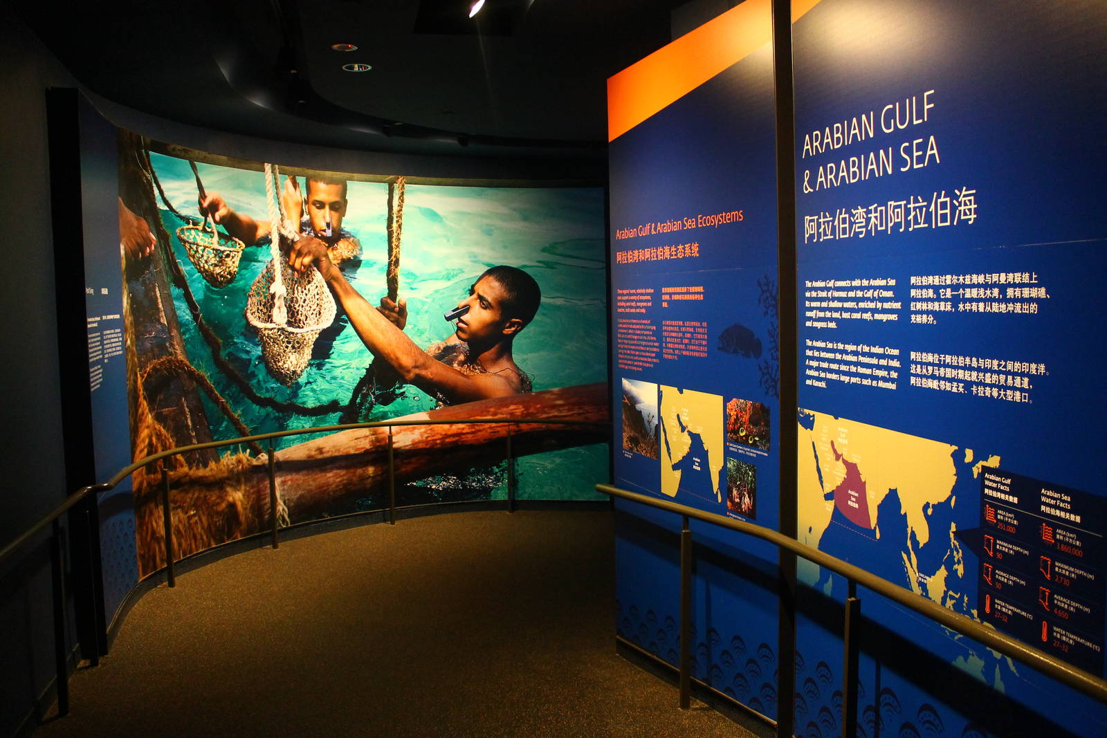 S.E.A. Aquarium - Arabian Gulf and Arabian Sea