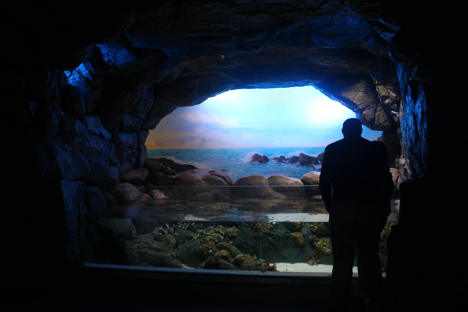 S.E.A. Aquarium - Arabian Gulf and Arabian Sea