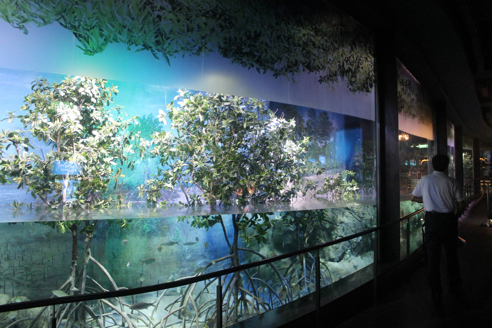 S.E.A. Aquarium - Bay of Bengal and Laccadive Sea