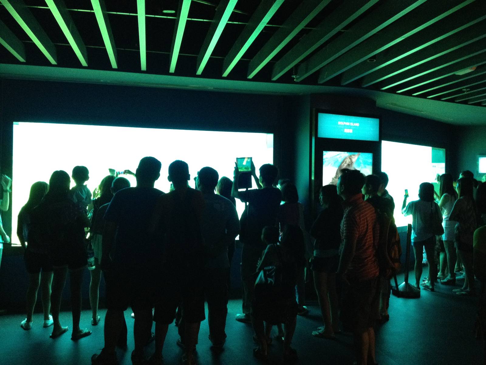 S.E.A. Aquarium - Dolphin Island