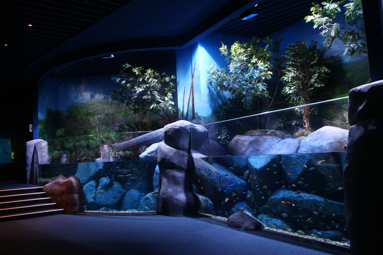 S.E.A. Aquarium - East Africa