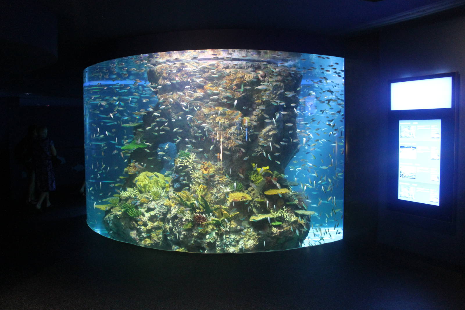 S.E.A. Aquarium - Ocean Journey