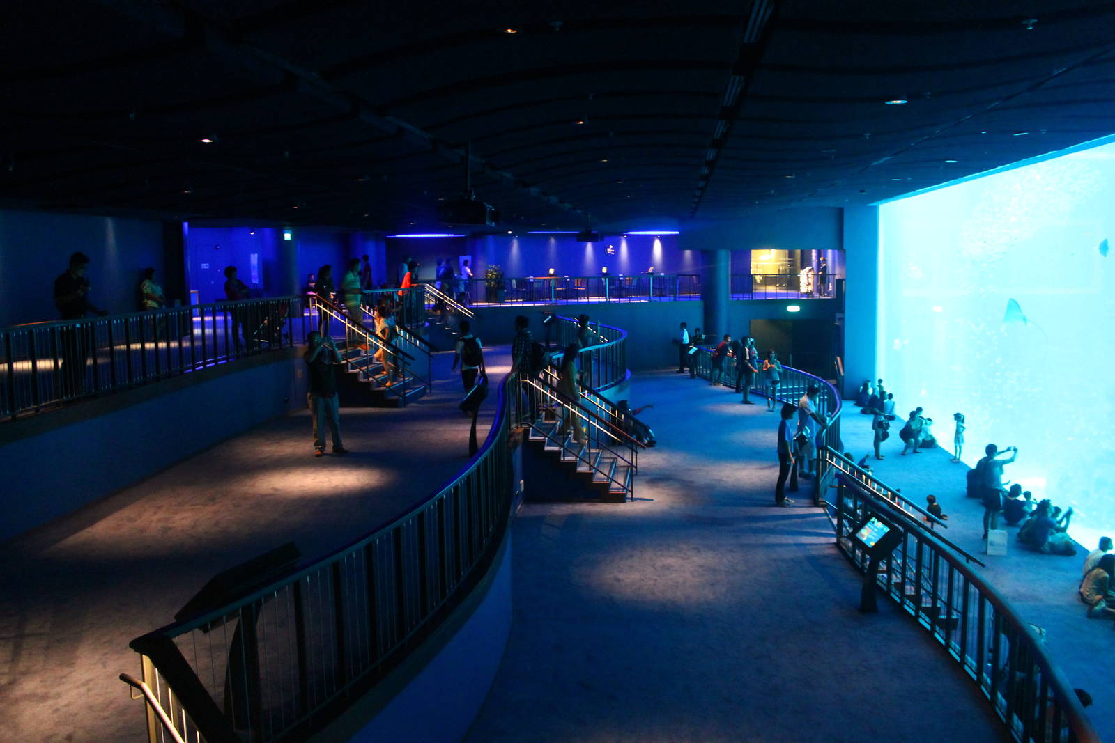 S.E.A. Aquarium - Open Ocean