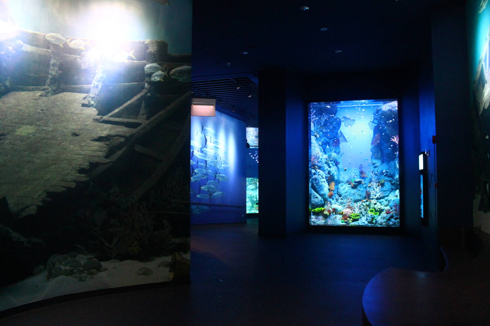 S.E.A. Aquarium - Red Sea