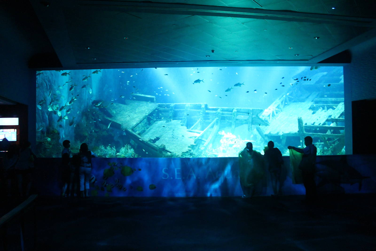 S.E.A. Aquarium - Shipwreck / Strait of Karimata and Java Sea