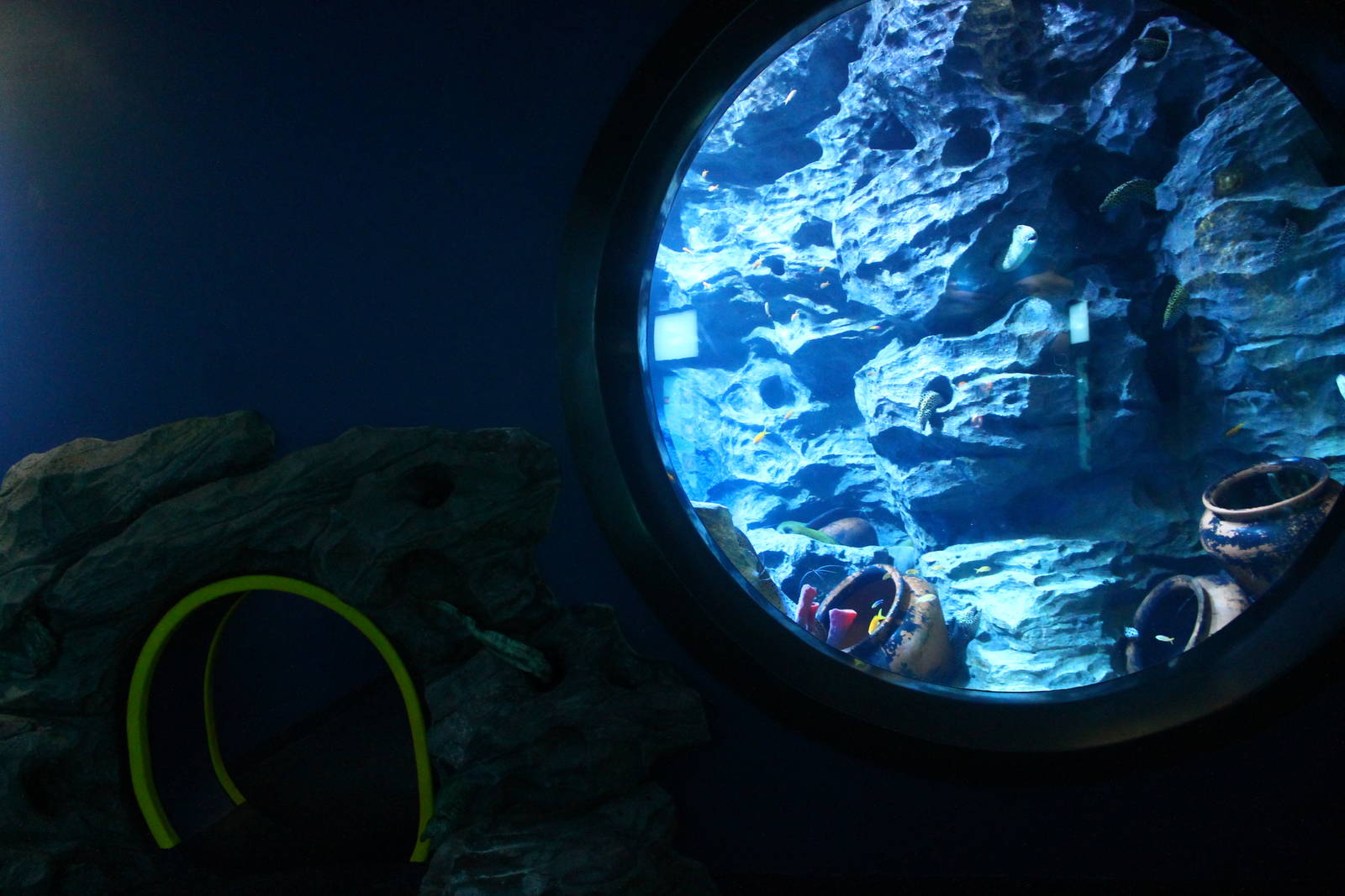 S.E.A. Aquarium - South China Sea