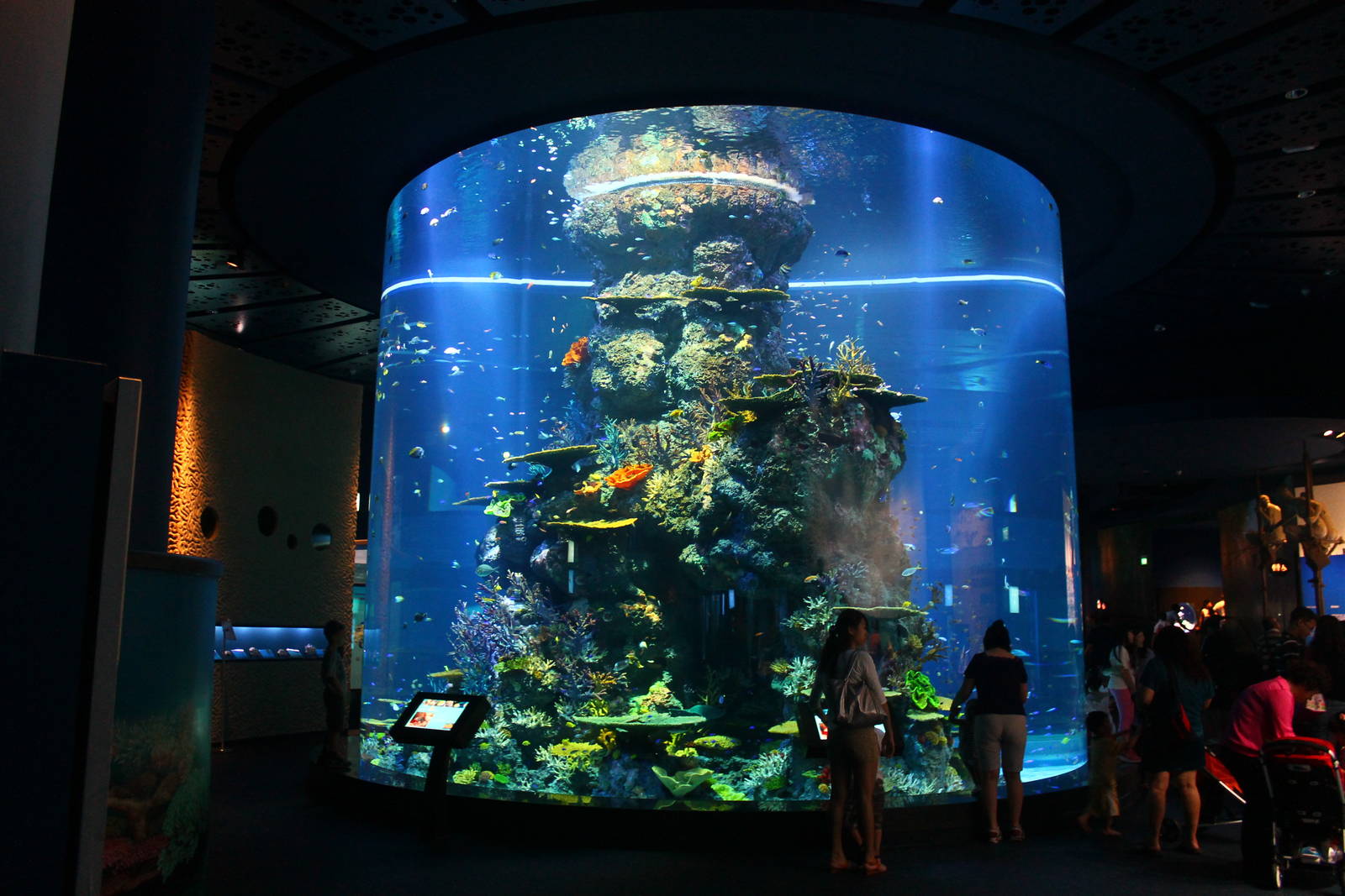 S.E.A. Aquarium - Strait of Malacca and Andaman Sea